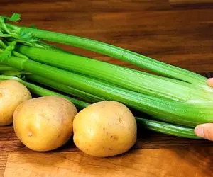 آموزش آشپزی؛ سوپ خوشمزه با سیب زمینی و کرفس