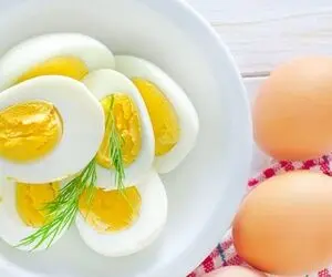 خطر مرگ با مصرف چه تعداد تخم مرغ در هفته؟