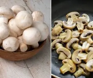 روش های نگهداری قارچ به مدت یک هفته و یک ماه؛ ماندگاری بدون ذره ای تغییر رنگ و مزه