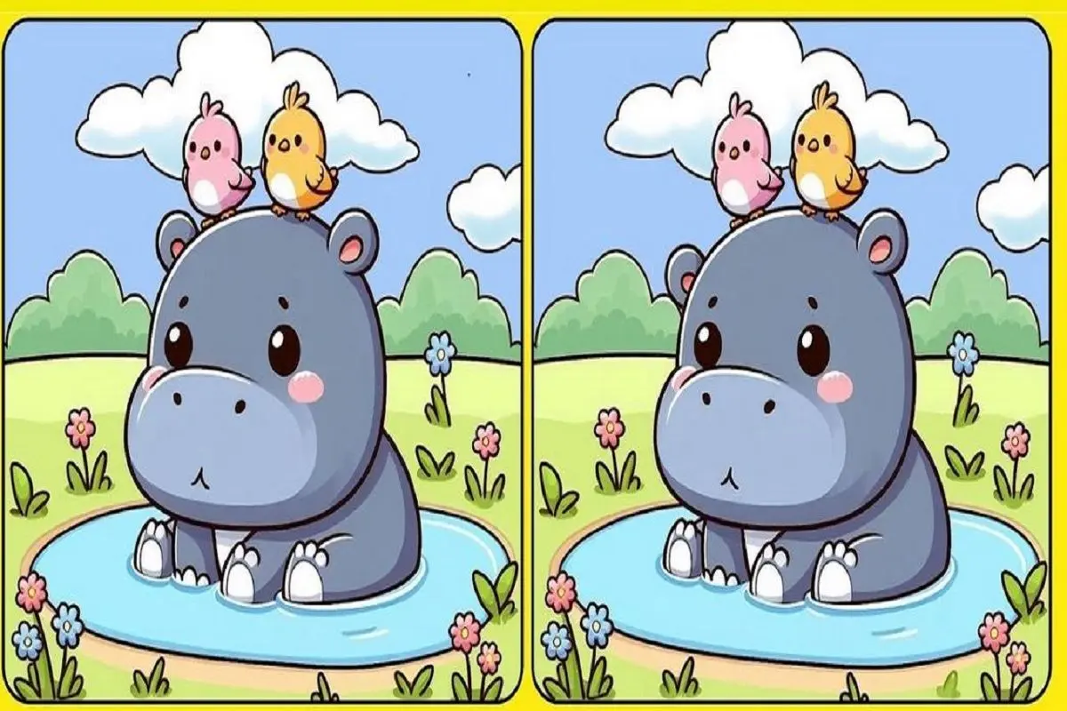 بازی فکری؛ تیزبینیت مثل عقاب تیزبینه؟ تفاوت های تصویری رو بگو سه سوته