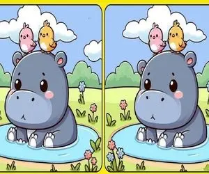 بازی فکری؛ تیزبینیت مثل عقاب تیزبینه؟ تفاوت های تصویری رو بگو سه سوته