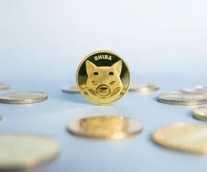 گلاویز شدن شیبا اینو با تمامی ارزها حقیقت دارد؟