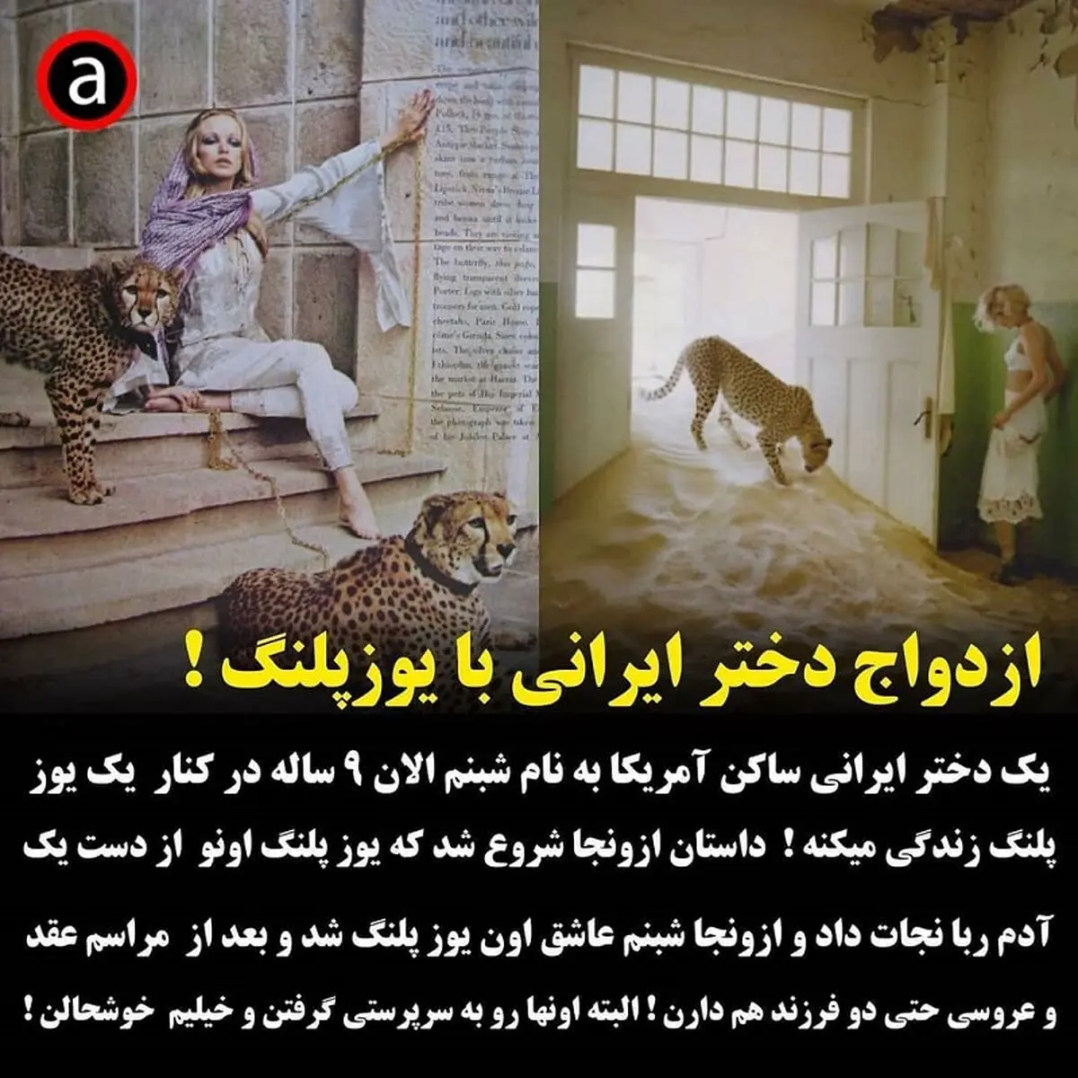dagh.tarinha_1613776145_1