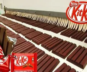 کارخانه تولید شکلات؛ روند تولید محبوب ترین میله های باریک شکلاتی با گرفتن عصاره قهوه 