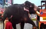 مستند کاوش؛ راننده کامیون احمق انقدر بار زده فیل آورده بکسلش کنه