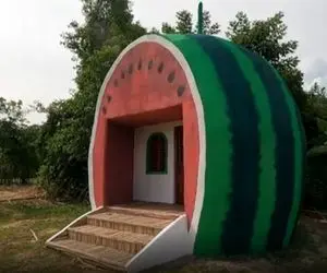 معماری خلاقانه؛ آقاهه تو جنگل واسه اینکه خرسا نخورنش کلبه ساخته طرح هندونه قاچ خورده