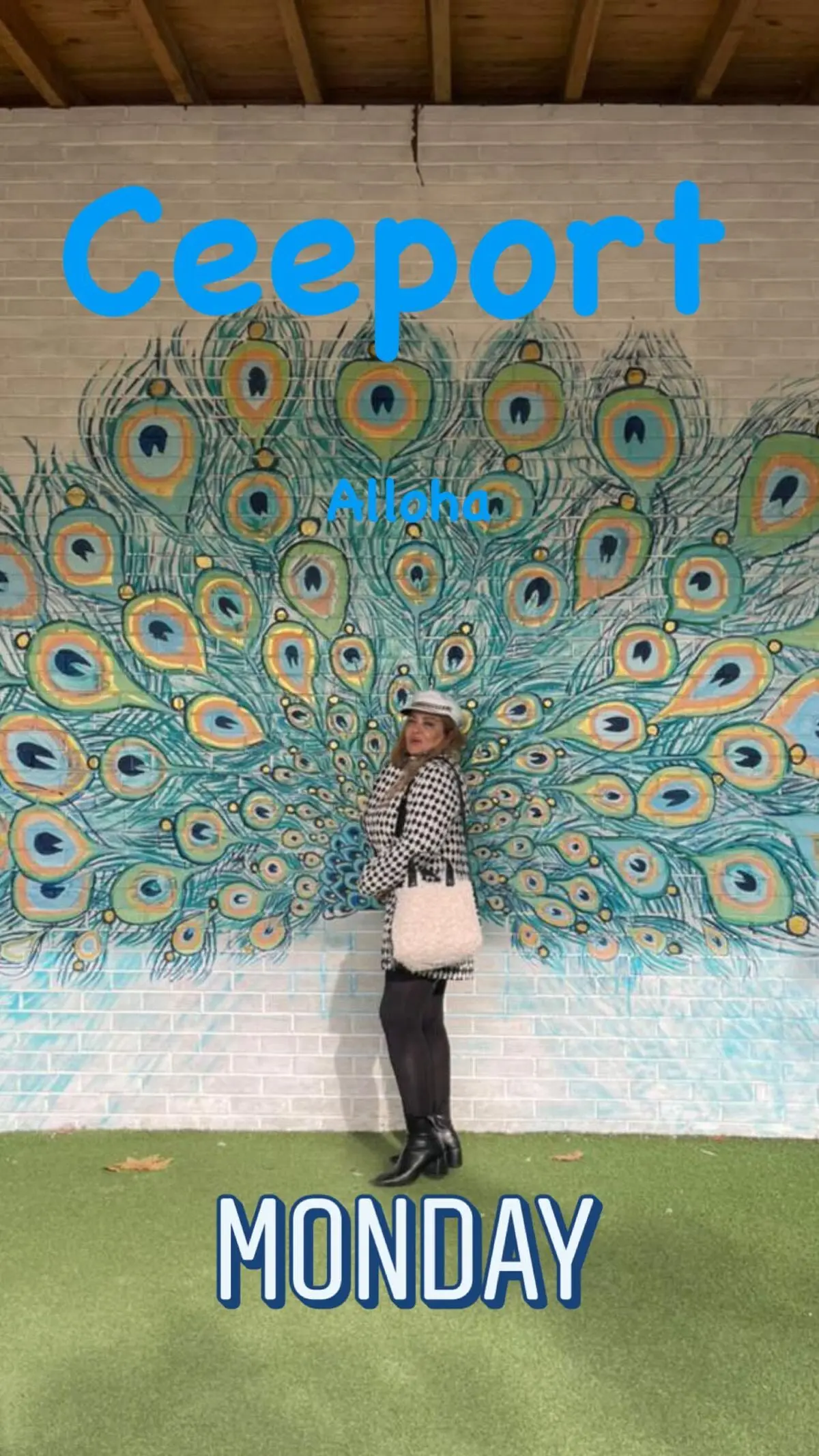 بهاره رهنما 