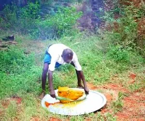 کله پاچه ؛ معلوم نیست کله کدوم حیوونی که اینطوری زردچوبه پیچش میکنه/ دندوناش چی میگن؟