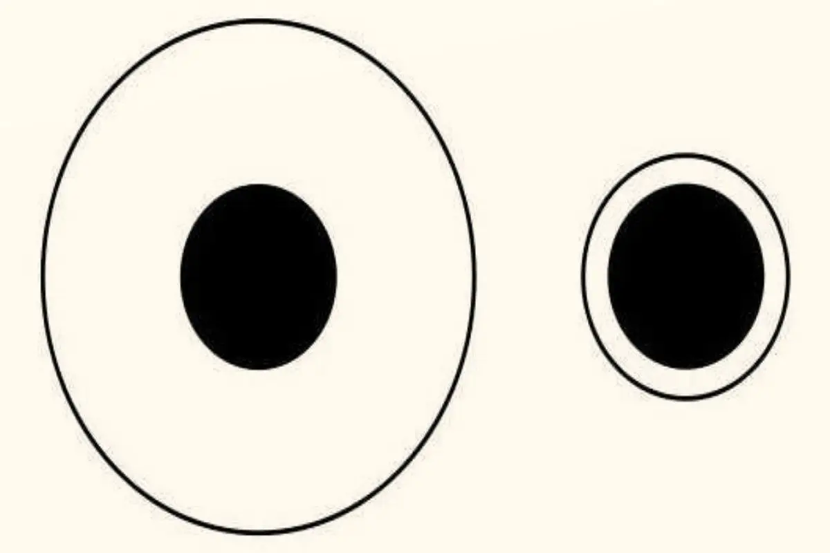 تست-هوش-دایره-سیاه-بزرگتر