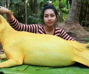 مطبخ زنانه؛ دختره بز طبخ می کنه گنده تر از خودش که حسابی زعفرانی و طعم دار شده