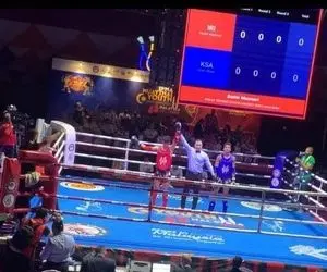 ۷ طلا در انتظار موی تای کاران ایرانی 