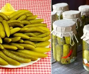 طرز تهیه خیارشور ترد و خوشمزه / یه روش عالی برای اینکه خیارشور خِرچ خِرچی درست کنی