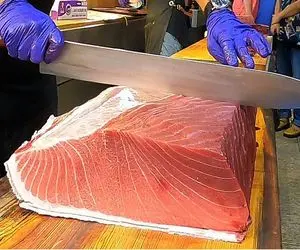 خلاقانه‌های آشپزی؛ ماهی غول پیکرِ یخ زده رو مثل کره بُرش میزنه باهاش سوشی درست میکنه