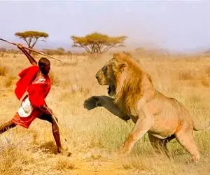 جنگجویان طبیعت؛ شیر شریر به گوسفندا حمله و یکیو قاپید چوپون با تبر گردنشو زد