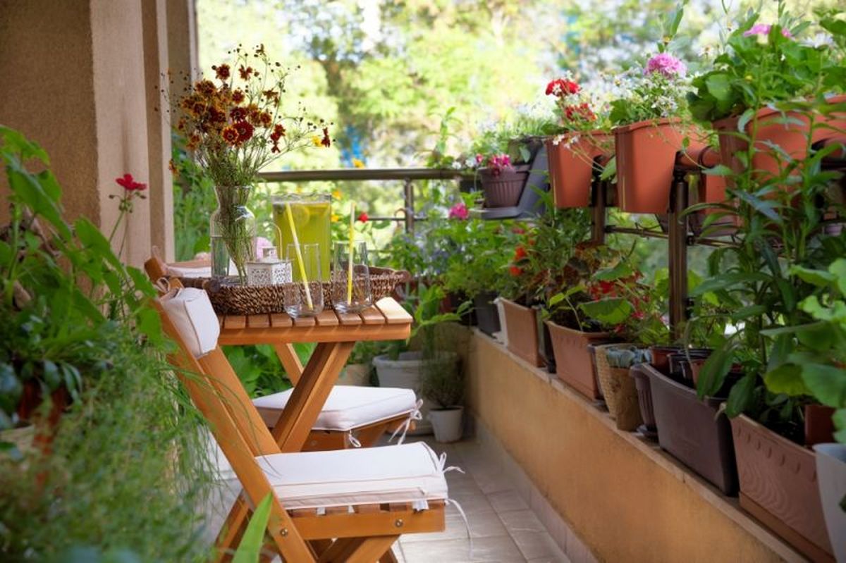 balcony-gardening-1630477928-1630477984_s