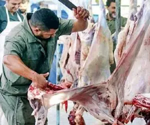 (جدول) قیمت دام زنده امروز ۴ مهر ۱۴۰۳ / درجا زدن های بازار ادامه دارد