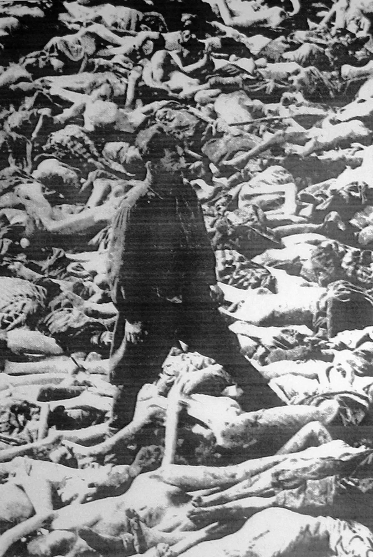 عکس هایی که جهان را شوکه کرد