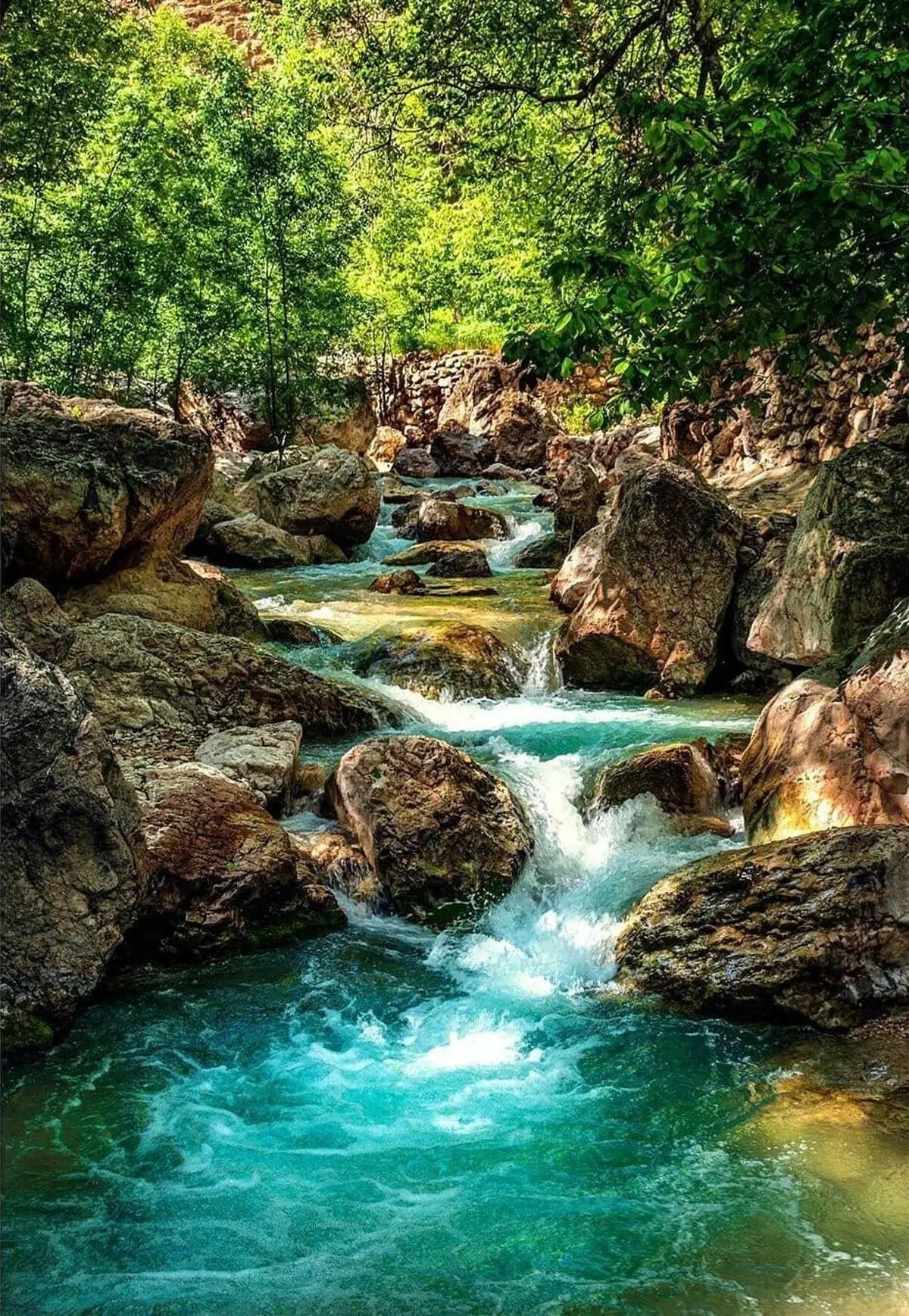 مشهد کجا بریم؟