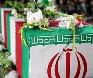 معاون فرهنگی‌اجتماعی سازمان اطلاعات فراجا به شهادت رسید