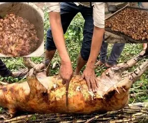 فرآوری خوک؛ دست و پای خوک سیاه زشت بستن انداخت تو آتیش پخت اسلایس و سرخش کردن