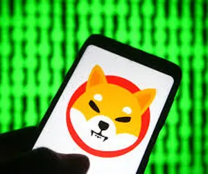 خبری خفن بر ای دارندگان شیبااینو!!