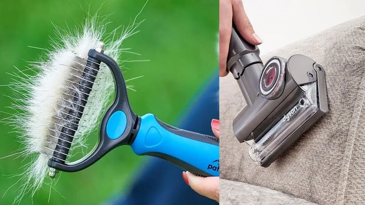 26e80e17-af48-48b6-b5c4-379ca0358a2a-pet-cleaning