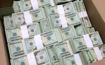 عجایب باورنکردنی/ کی باورش میشه یک پشه باعث بردن 1.5 میلیون دلار بشه 