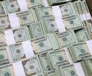 عجایب باورنکردنی/ کی باورش میشه یک پشه باعث بردن 1.5 میلیون دلار بشه 