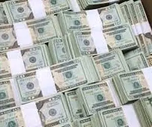 عجایب باورنکردنی/ کی باورش میشه یک پشه باعث بردن 1.5 میلیون دلار بشه 