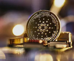 دستاورد شگفت انگیز کاردانو!