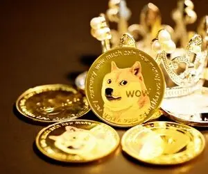 حماسه ای از دوج کوین که ایلان ماسک فاش کرد!!