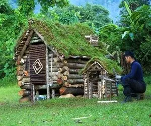 معماری خلاقانه؛ آقاهه 4 روزه دو تا کلبه جنگلی ساخته یکی واسه خودش یکی واسه سگش