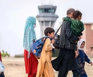 آخرین جزییات از وضعیت ساماندهی اتباع غیرمجاز