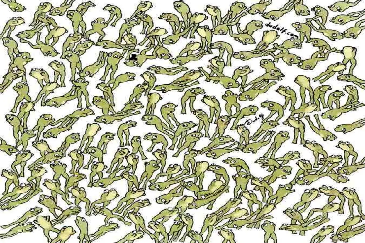 آزمون-شناسایی-قورباغه-متفاوت-2