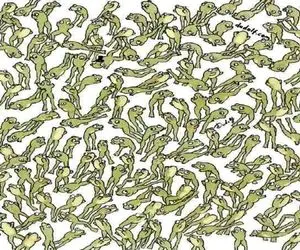 بازی فکری؛ فقط 3 درصد آدما تونستن قورباغه ای که در حال پرش نیستو بین اینهمه پیدا کنن