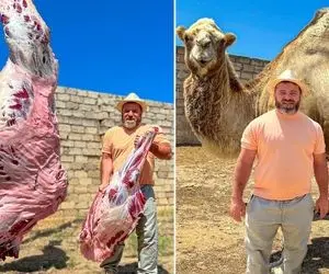 (ویدیو) این بزرگ ترین غذای دنیاس / برش زدن و کباب کردن حیرت انگیز یه شتر درسته !