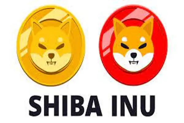 SHIBAINU