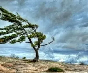 پیش بینی تندباد لحظه ای در استان تهران