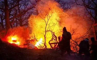 عامل آتش‌سوزی جنگل‌های چالوس انسانی است؟