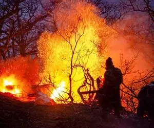 عامل آتش‌سوزی جنگل‌های چالوس انسانی است؟