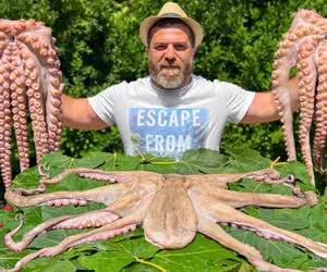 زنده خوری؛ هشت پای غوی پیکر داره میخزه واسه فرار آقاهه دست میکنه تو مغزش چه دلی داره