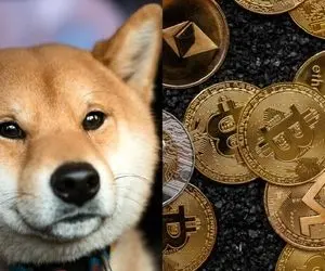 جدول زمانی آینده شیبااینو فاش شد!