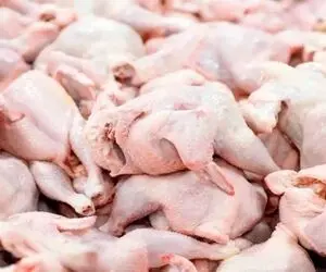 قیمت مرغ امروز چهارشنبه ۳۰ اردیبهشت ۱۴۰۵ + جدول