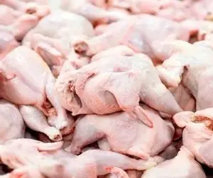 قیمت مرغ امروز چهارشنبه ۳۰ اردیبهشت ۱۴۰۵ + جدول