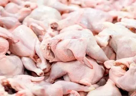 قیمت مرغ امروز چهارشنبه ۳۰ اردیبهشت ۱۴۰۵ + جدول