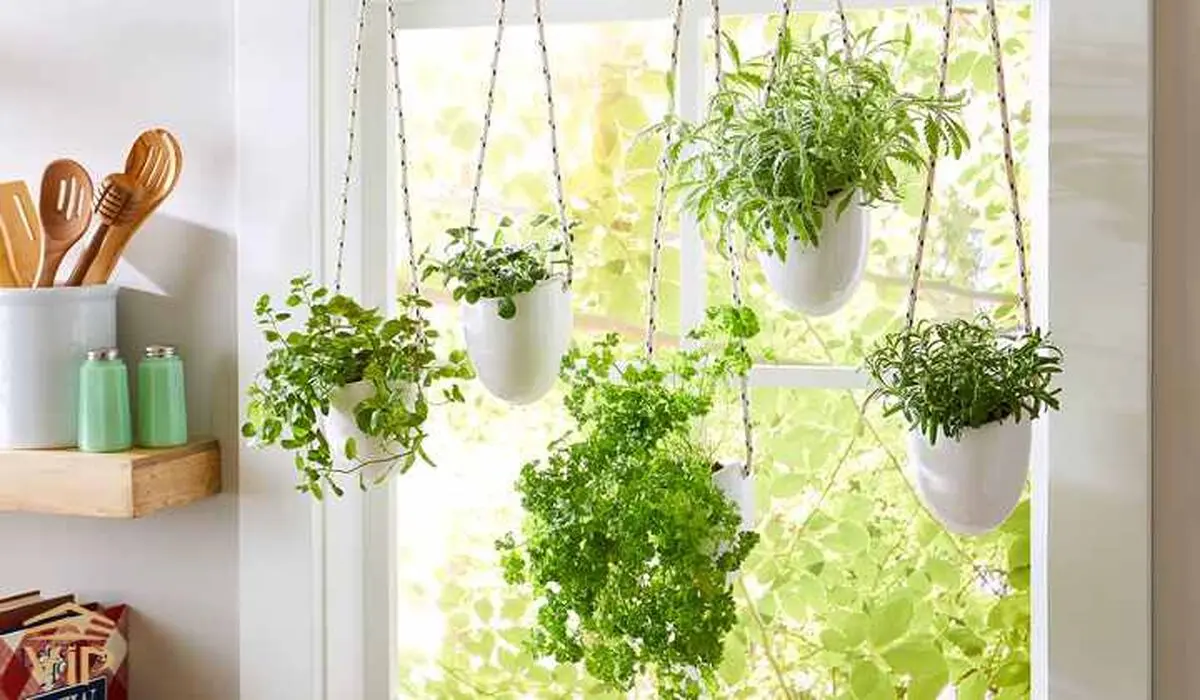 ایده برای چیدمان گل در خانه کوچک