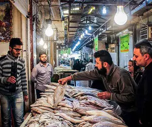 چقدر برای ماهی شب عید خرج کنیم؟