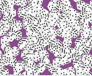 بازی فکری؛ فقط اونایی که دید فول اچ دی دارن تاس 7 خال و میتونن پیدا کنن!