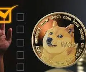 پیش بینی مهم از دوج کوین!!