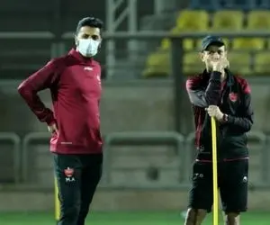 گل محمدی، مصمم برای اثبات مجدد خودش